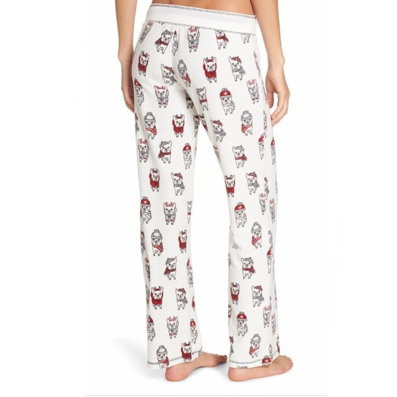 miniature poodle dog